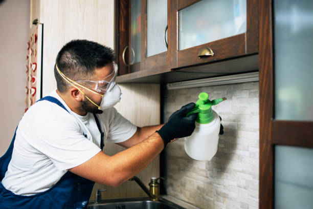 Best Pest Inspection Near Me  in Ulysses, KS